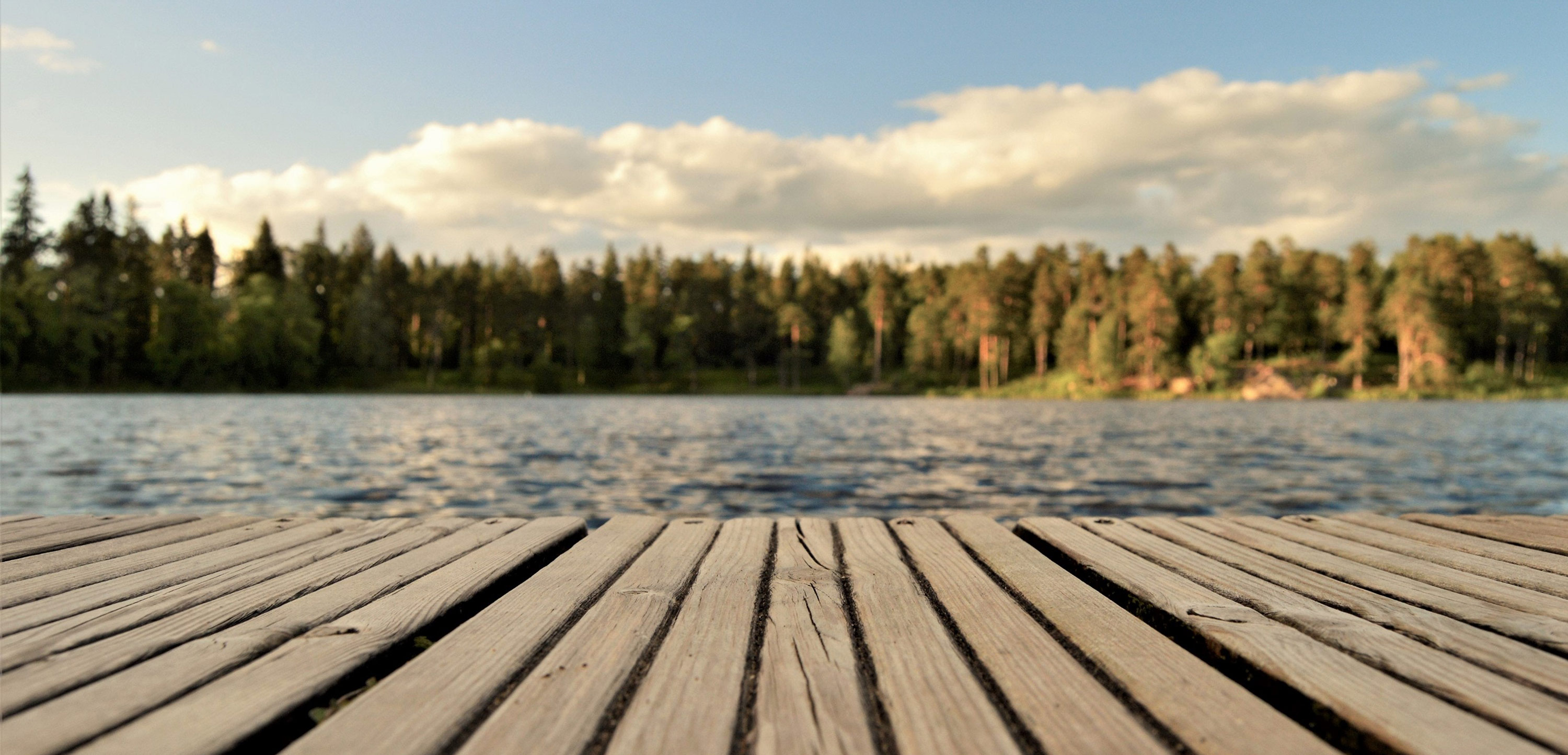 photo de paysage - terrasse en bois vue sur un lac avec une forêt en fond